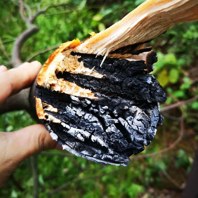 Лазерная машина для удаления препятствий (1)